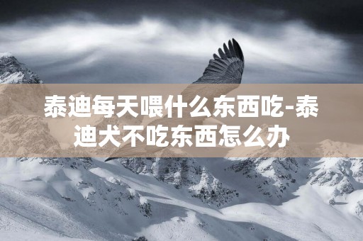 泰迪每天喂什么東西吃-泰迪犬不吃東西怎么辦