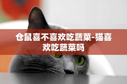倉鼠喜不喜歡吃蔬菜-貓喜歡吃蔬菜嗎