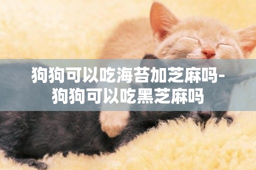 狗狗可以吃海苔加芝麻嗎-狗狗可以吃黑芝麻嗎