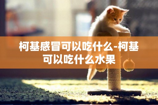 柯基感冒可以吃什么-柯基可以吃什么水果