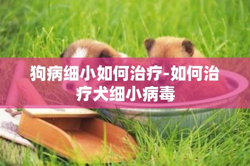 狗病細小如何治療-如何治療犬細小病毒