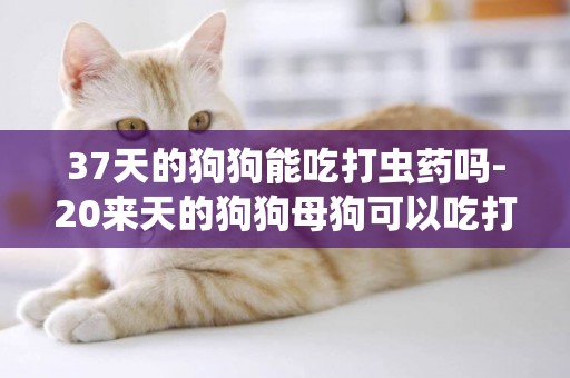 37天的狗狗能吃打蟲藥嗎-20來天的狗狗母狗可以吃打蟲藥嗎
