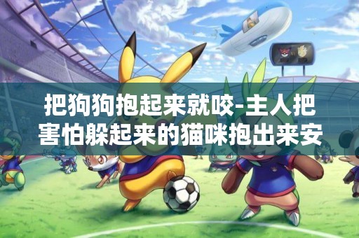 把狗狗抱起來就咬-主人把害怕躲起來的貓咪抱出來安撫