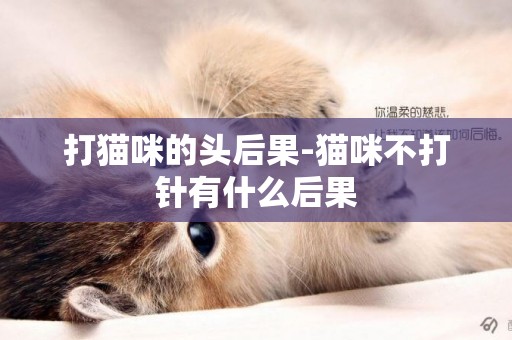 打貓咪的頭后果-貓咪不打針有什么后果