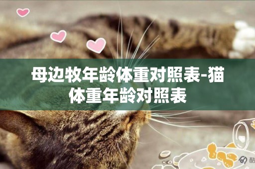 母邊牧年齡體重對照表-貓體重年齡對照表