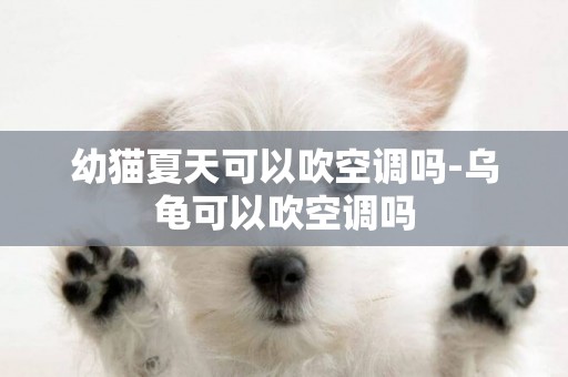 幼貓夏天可以吹空調嗎-烏龜可以吹空調嗎