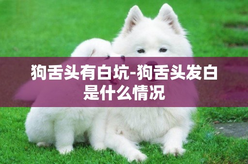 狗舌頭有白坑-狗舌頭發白是什么情況