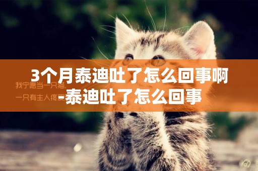 3個月泰迪吐了怎么回事啊-泰迪吐了怎么回事