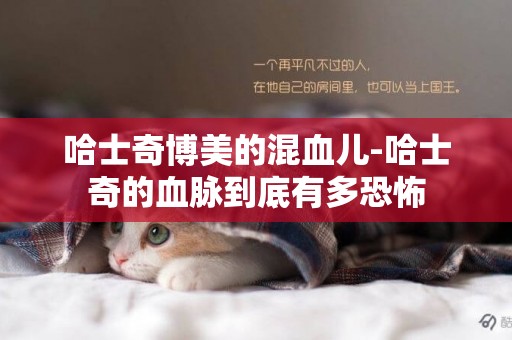 哈士奇博美的混血兒-哈士奇的血脈到底有多恐怖