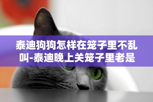 泰迪狗狗怎樣在籠子里不亂叫-泰迪晚上關籠子里老是叫怎么辦