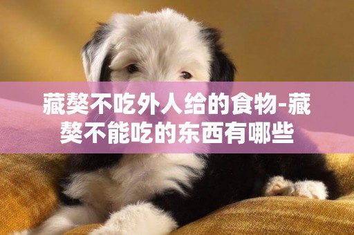 藏獒不吃外人給的食物-藏獒不能吃的東西有哪些