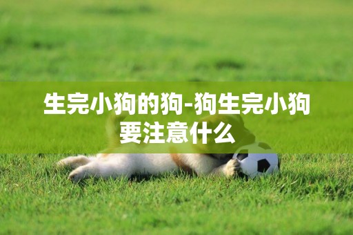 生完小狗的狗-狗生完小狗要注意什么