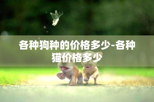 各種狗種的價格多少-各種貓價格多少