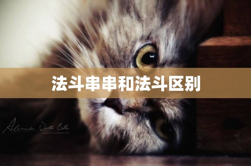 法斗串串和法斗區別
