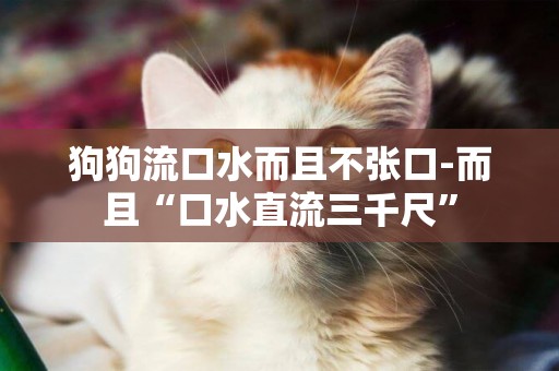 狗狗流口水而且不張口-而且“口水直流三千尺”