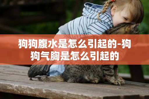 狗狗腹水是怎么引起的-狗狗氣胸是怎么引起的