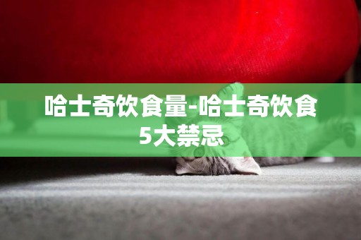 哈士奇飲食量-哈士奇飲食5大禁忌