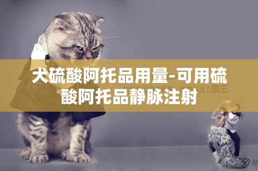 犬硫酸阿托品用量-可用硫酸阿托品靜脈注射