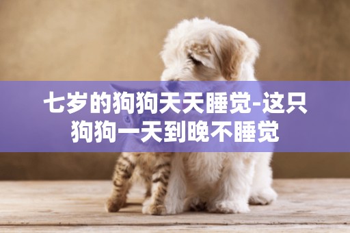 七歲的狗狗天天睡覺-這只狗狗一天到晚不睡覺
