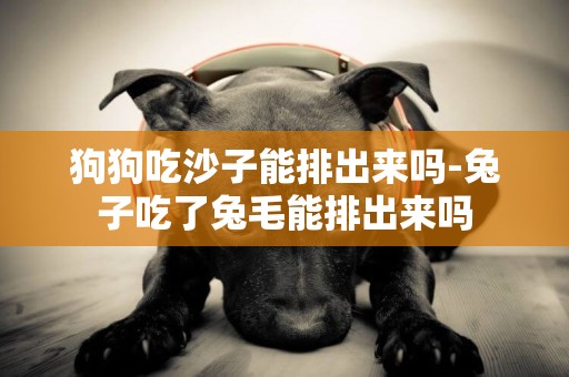 狗狗吃沙子能排出來嗎-兔子吃了兔毛能排出來嗎