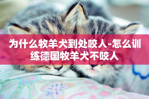 為什么牧羊犬到處咬人-怎么訓練德國牧羊犬不咬人