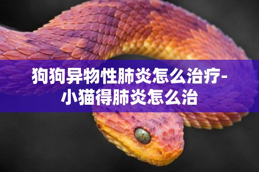 狗狗異物性肺炎怎么治療-小貓得肺炎怎么治