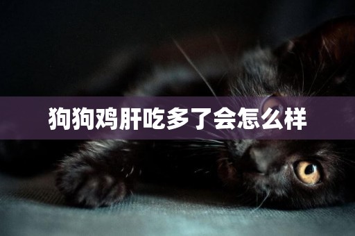 狗狗雞肝吃多了會怎么樣