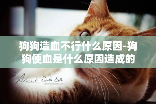 狗狗造血不行什么原因-狗狗便血是什么原因造成的