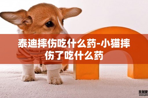 泰迪摔傷吃什么藥-小貓摔傷了吃什么藥