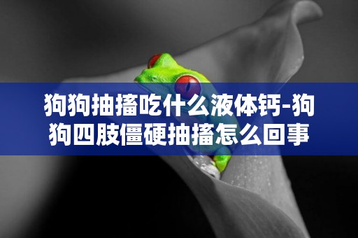 狗狗抽搐吃什么液體鈣-狗狗四肢僵硬抽搐怎么回事