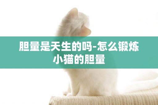 膽量是天生的嗎-怎么鍛煉小貓的膽量