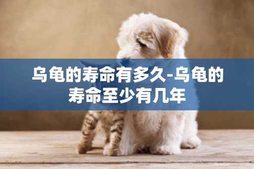 烏龜的壽命有多久-烏龜的壽命至少有幾年