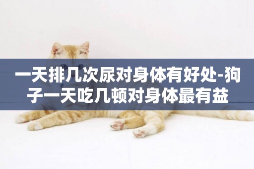 一天排幾次尿對身體有好處-狗子一天吃幾頓對身體最有益