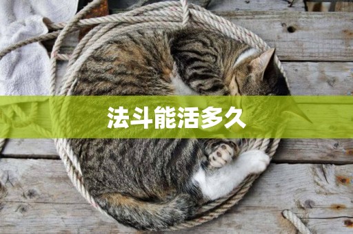 法斗能活多久