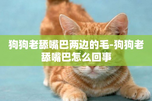 狗狗老舔嘴巴兩邊的毛-狗狗老舔嘴巴怎么回事