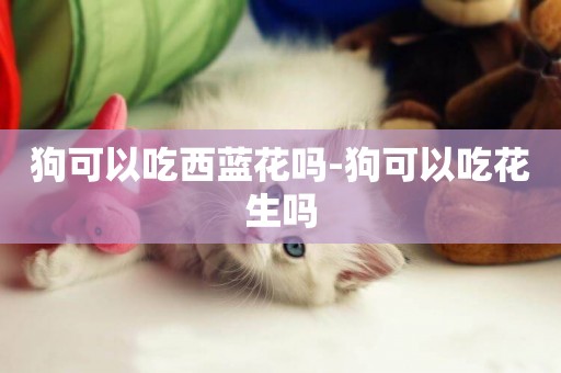 狗可以吃西藍花嗎-狗可以吃花生嗎