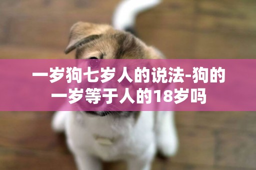 一歲狗七歲人的說法-狗的一歲等于人的18歲嗎