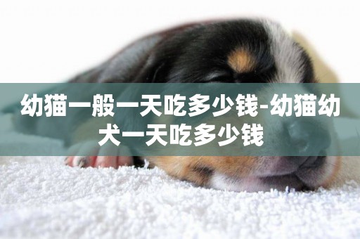 幼貓一般一天吃多少錢-幼貓幼犬一天吃多少錢