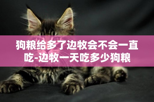 狗糧給多了邊牧會不會一直吃-邊牧一天吃多少狗糧