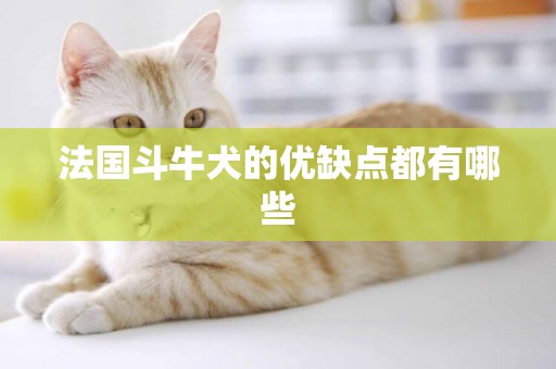 法國斗牛犬的優缺點都有哪些