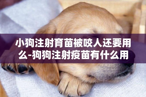 小狗注射育苗被咬人還要用么-狗狗注射疫苗有什么用