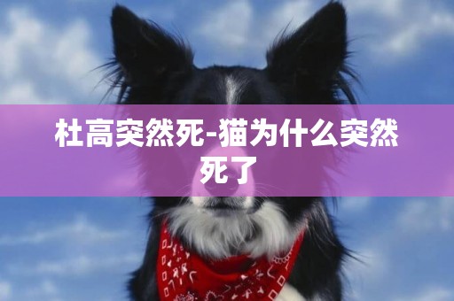 杜高突然死-貓為什么突然死了