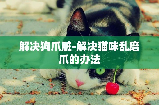 解決狗爪臟-解決貓咪亂磨爪的辦法