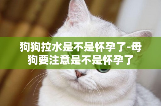狗狗拉水是不是懷孕了-母狗要注意是不是懷孕了