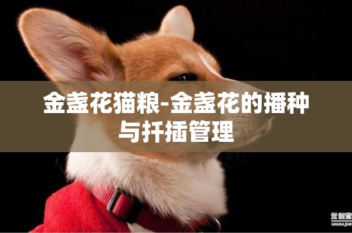 金盞花貓糧-金盞花的播種與扦插管理