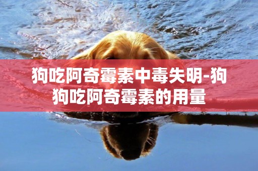 狗吃阿奇霉素中毒失明-狗狗吃阿奇霉素的用量