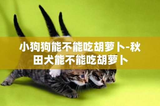 小狗狗能不能吃胡蘿卜-秋田犬能不能吃胡蘿卜