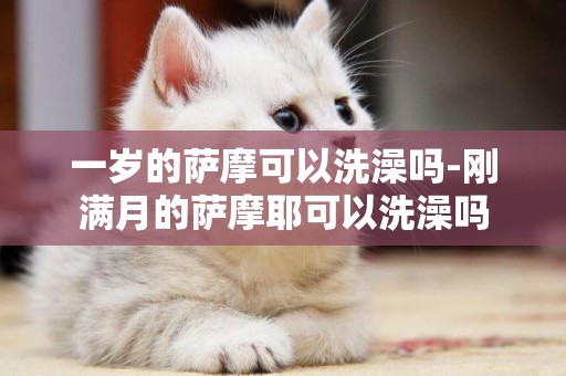 一歲的薩摩可以洗澡嗎-剛滿月的薩摩耶可以洗澡嗎