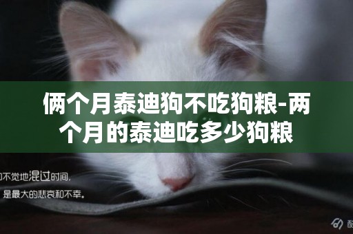 倆個月泰迪狗不吃狗糧-兩個月的泰迪吃多少狗糧