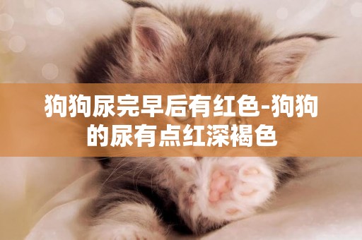 狗狗尿完早后有紅色-狗狗的尿有點紅深褐色